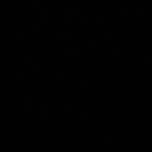 Meet your Posher, Shayla